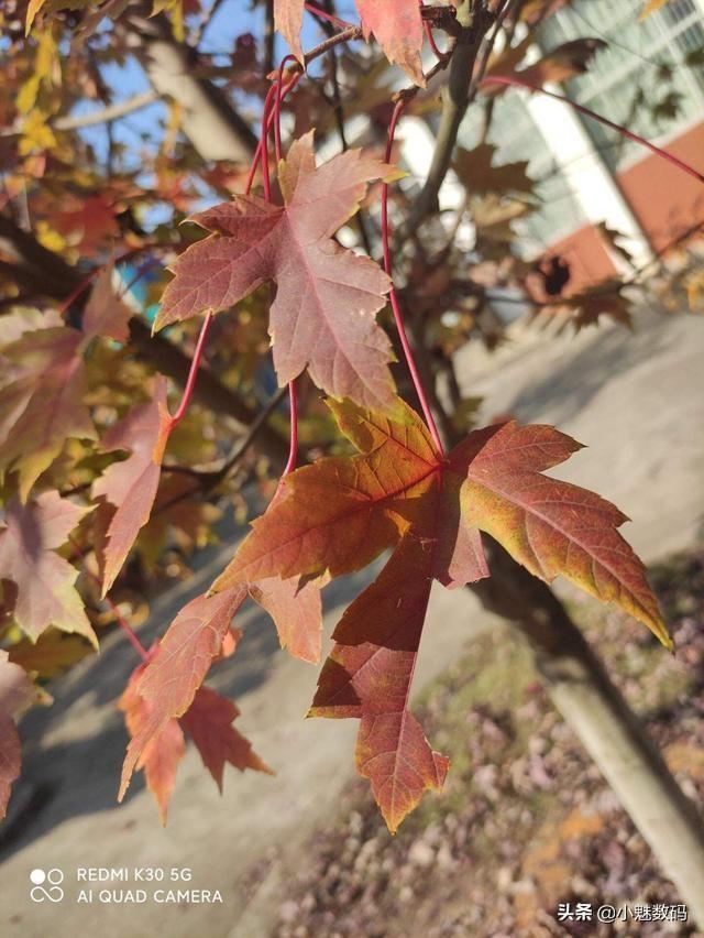 紅米k30參數(shù)配置（紅米k30 5g到底值不值得買）(43)