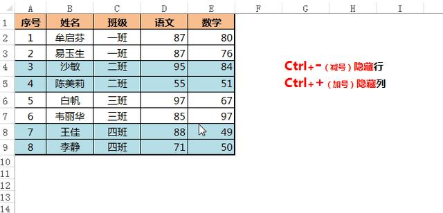 excel表格怎么調(diào)節(jié)行寬行高（excel調(diào)整行高列寬的簡(jiǎn)單方法）(6)