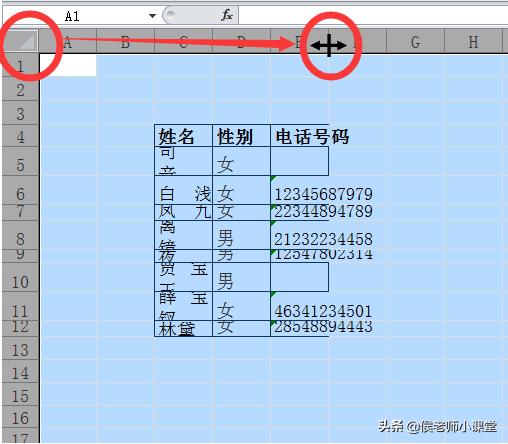 如何調(diào)整表格的行高和列寬（分享幾種調(diào)整excel表格行高與列寬方法）(3)