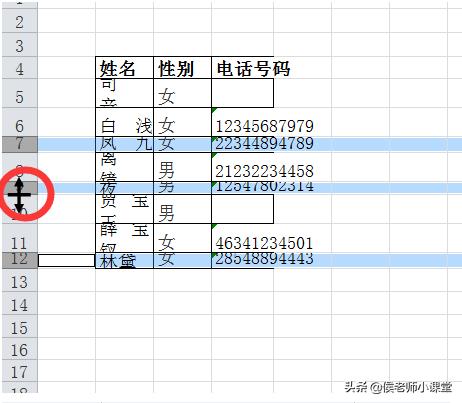 如何調(diào)整表格的行高和列寬（分享幾種調(diào)整excel表格行高與列寬方法）(8)