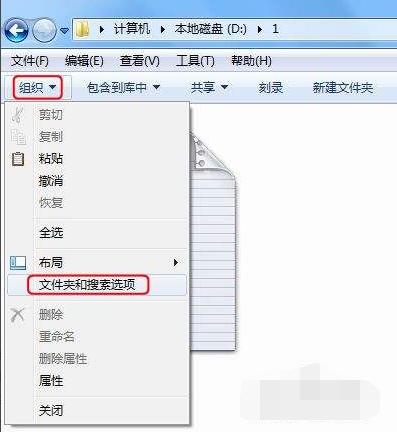 win7后綴名隱藏了怎么打開（Win7如何顯示文件的后綴名）(2)