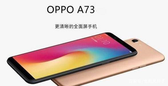 oppo  a73參數(shù)配置（oppoa73值得入手嗎）(1)