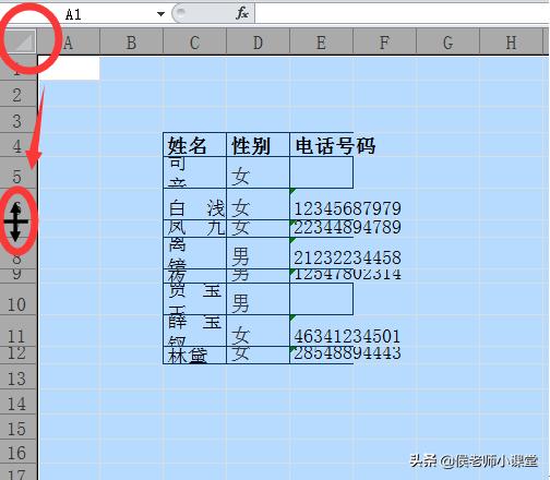 如何調(diào)整表格的行高和列寬（分享幾種調(diào)整excel表格行高與列寬方法）(2)