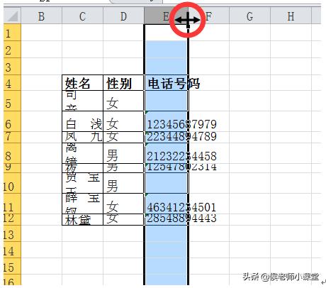 如何調(diào)整表格的行高和列寬（分享幾種調(diào)整excel表格行高與列寬方法）(9)