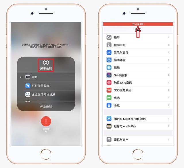 蘋果手機(jī)錄屏功能在哪里開(kāi)啟（教你如何打開(kāi)iphone自帶錄屏功能）(5)