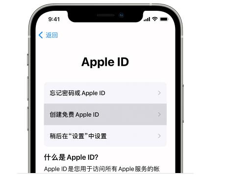 蘋果手機(jī)怎么設(shè)置id（apple  id密碼重置的操作方法）(1)