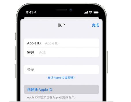 蘋果手機(jī)怎么設(shè)置id（apple  id密碼重置的操作方法）(2)