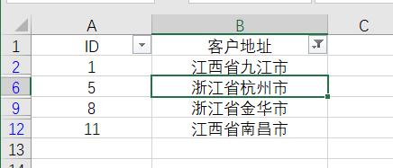 excel怎么篩選出指定內容（Excel關于篩選的4個實用小技巧）(6)