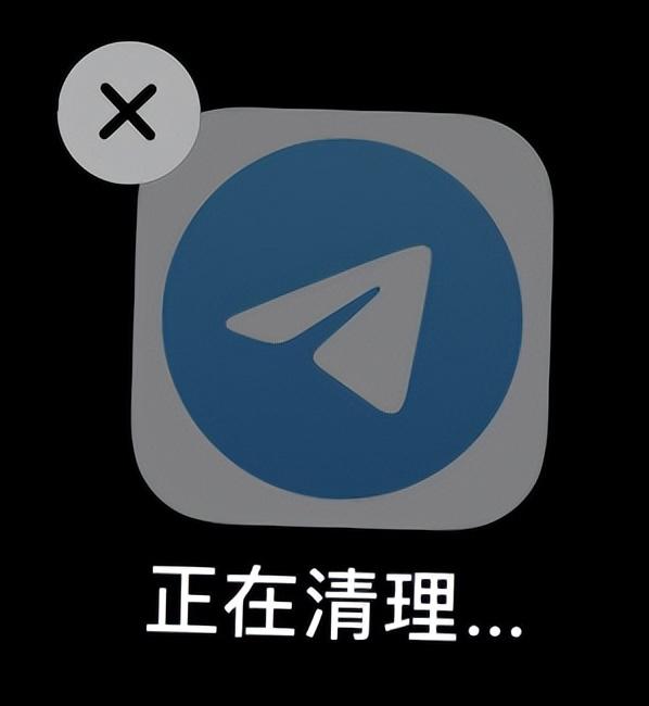 iphone存儲空間不足怎么清理（iphone快速清理內存空間的方法）(7)