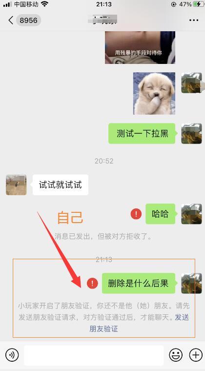 怎么看微信被拉黑還是被刪除（微信被拉黑和被別人刪除了的區(qū)別）(8)