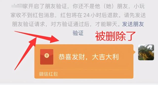 怎么看微信被拉黑還是被刪除（微信被拉黑和被別人刪除了的區(qū)別）(12)