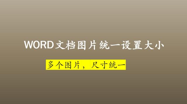 word頁面怎么調(diào)整大小（WORD文檔里快速調(diào)整圖片的尺寸方法）(1)