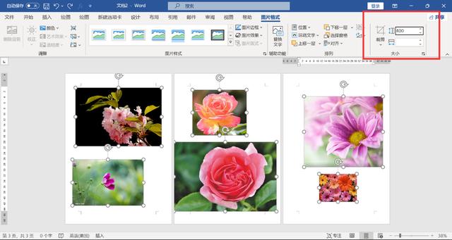 word頁面怎么調(diào)整大小（WORD文檔里快速調(diào)整圖片的尺寸方法）(4)