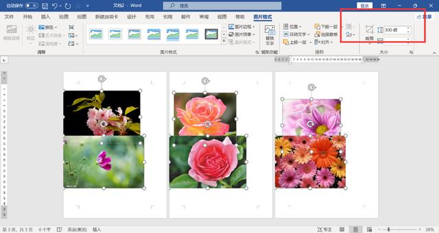 word頁面怎么調(diào)整大小（WORD文檔里快速調(diào)整圖片的尺寸方法）(5)