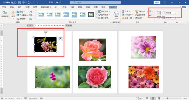 word頁面怎么調(diào)整大小（WORD文檔里快速調(diào)整圖片的尺寸方法）(7)