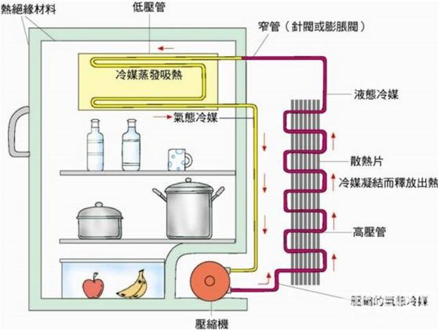 電冰箱風(fēng)冷好還是直冷好（冰箱直冷和風(fēng)冷怎么選）(2)