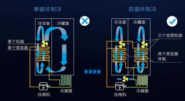 冰箱風冷好還是直冷好（風冷冰箱與直冷冰箱怎么選）(13)