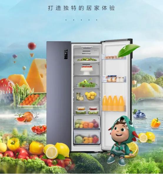 買(mǎi)冰箱什么牌子好耐用（目前口碑最好的冰箱品牌推薦）(3)