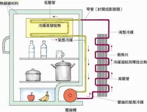 風(fēng)冷和直冷哪個(gè)更耐用（冰箱買風(fēng)冷還是直冷的好）(6)