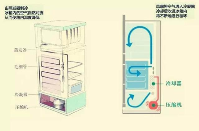 風(fēng)冷和直冷哪個(gè)更耐用（冰箱買風(fēng)冷還是直冷的好）(9)