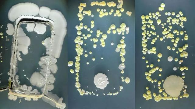 手機(jī)病毒怎么處理干凈（40秒教你手機(jī)消毒方法）(4)