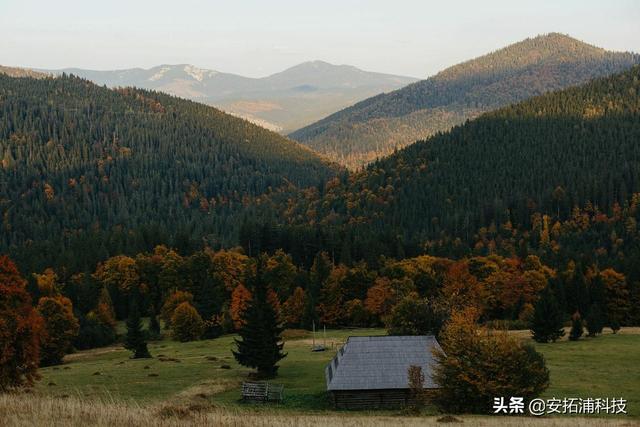 空氣凈化器功能分析（空氣凈化器的用途和凈化方式有哪些）(1)