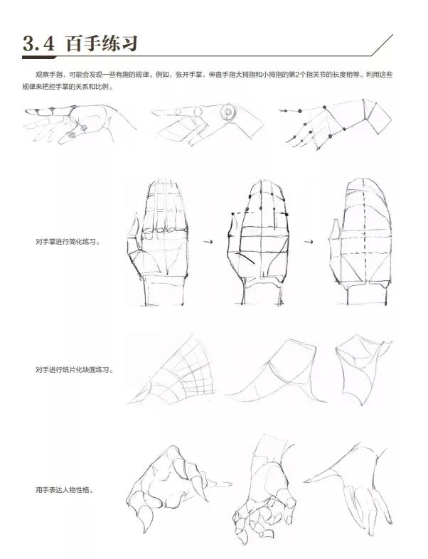 人體的結(jié)構(gòu)圖部位名稱 器官（簡單的人體結(jié)構(gòu)圖大全）(16)