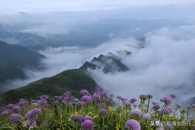 貴州景點(diǎn)排名大全集貴州?。ㄙF州最值得旅游的景點(diǎn)排名前十大）(9)