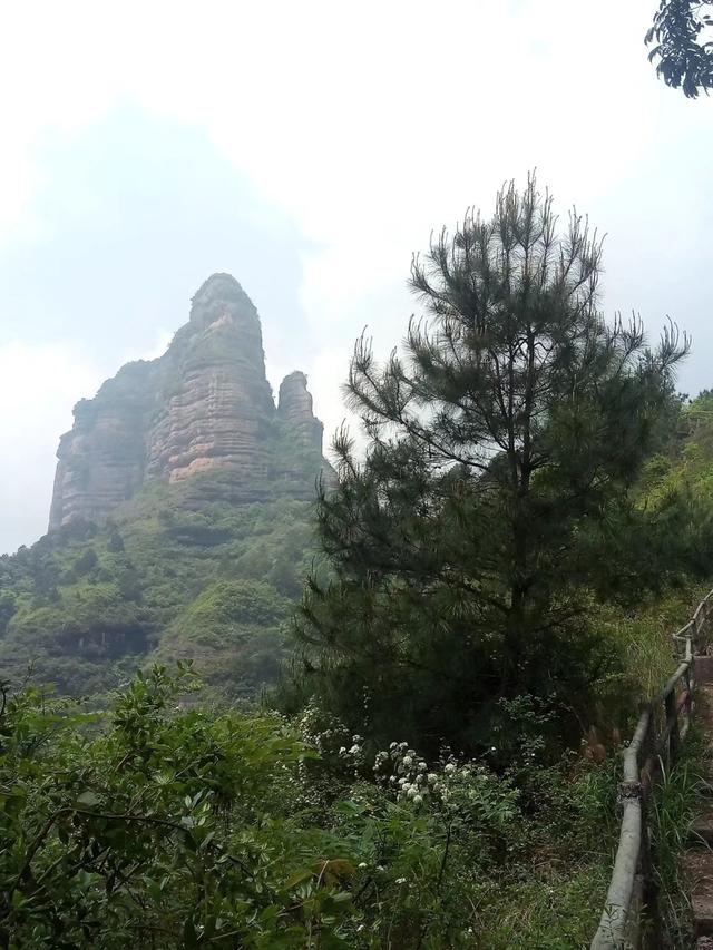 廣東四大名山的特點（廣東四大名山是哪四座）(6)