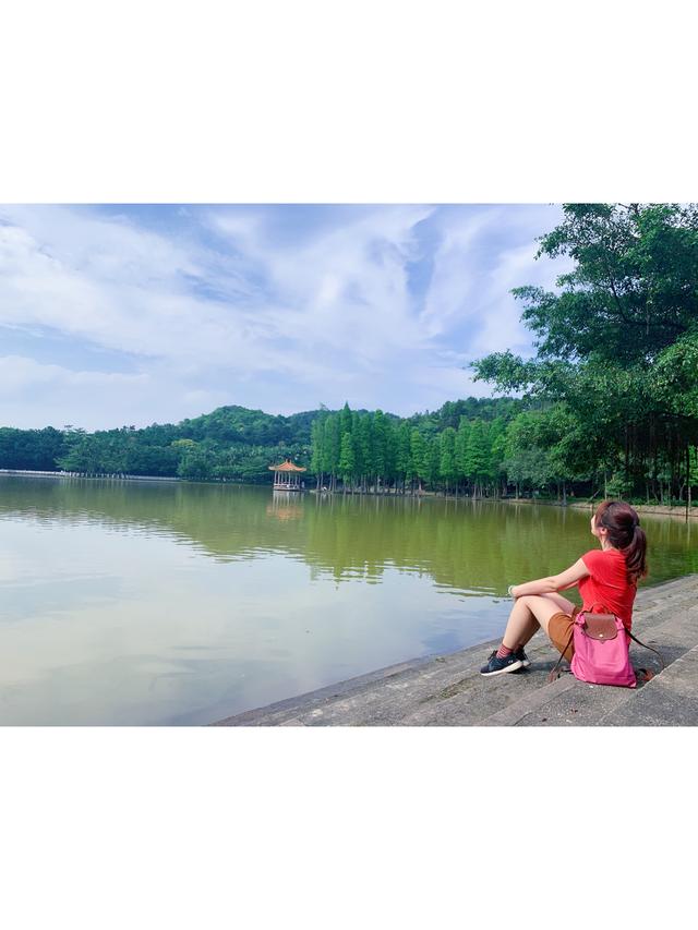廣東四大名山的特點（廣東四大名山是哪四座）(15)