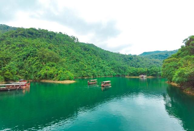 廣東四大名山的特點（廣東四大名山是哪四座）(19)