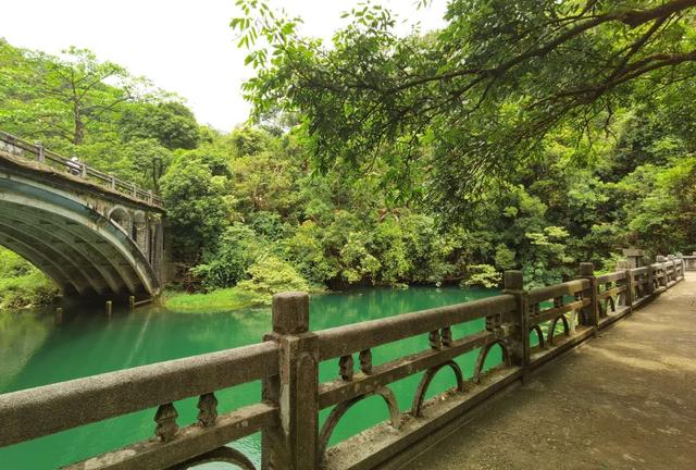 廣東四大名山的特點（廣東四大名山是哪四座）(21)