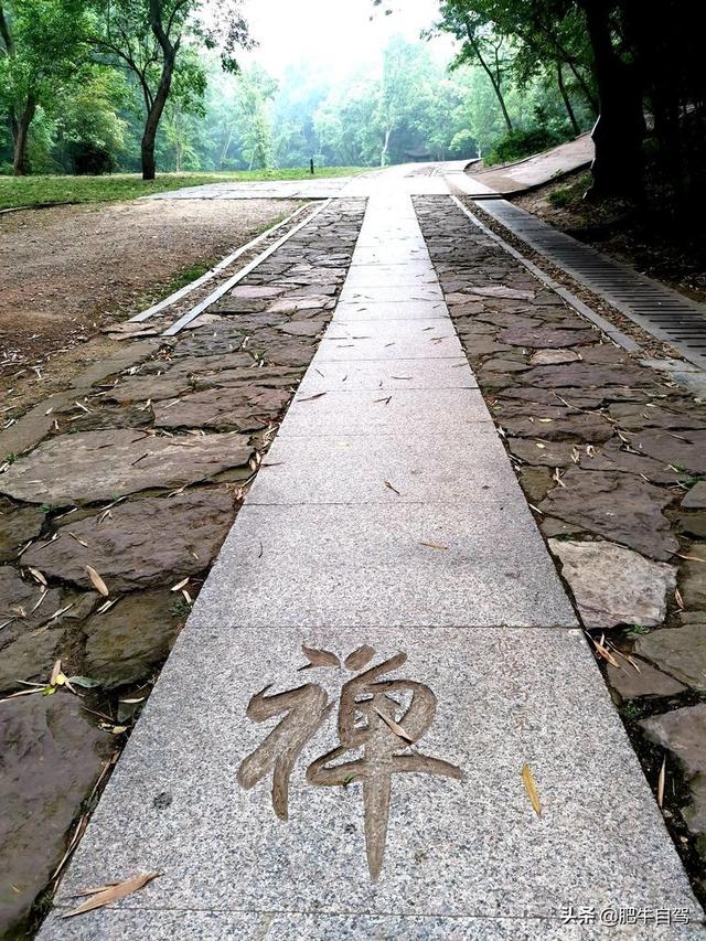 自駕游最好的路線（三日游自駕線路推薦給你）(17)