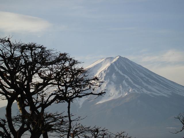 地球最大的島嶼是什么島（世界上最大的島嶼排名一覽表）(4)