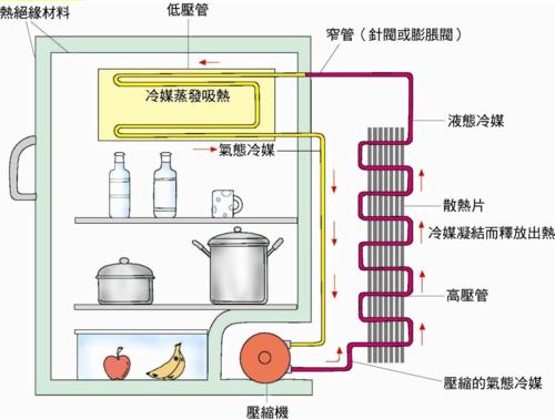 冰箱直冷和風(fēng)冷哪種好（風(fēng)冷冰箱和直冷冰箱怎么選擇）(2)