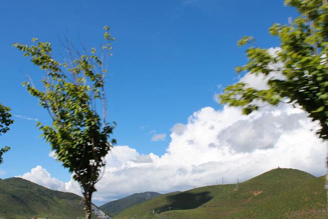 香格里拉圖片風(fēng)景圖片高清（七月的香格里拉有多美）(6)