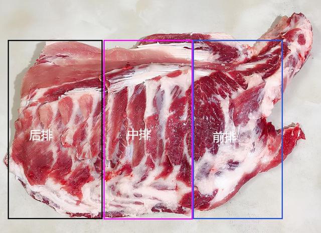 前排骨和后排骨哪個(gè)好（如何分清“前排”和“后排”）(2)