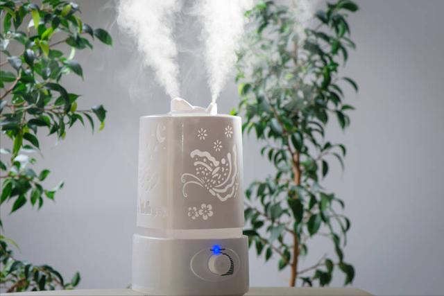 加濕器不出霧是什么原因（加濕器不出霧的原因和維修方法）(2)