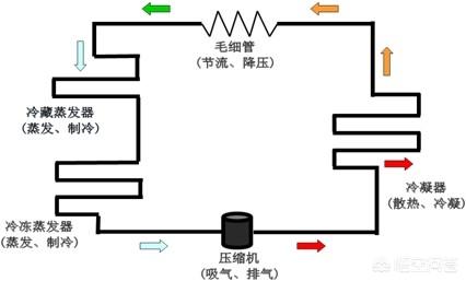 電冰箱制冷原理是什么（冰箱制冷原理簡單說明）(3)