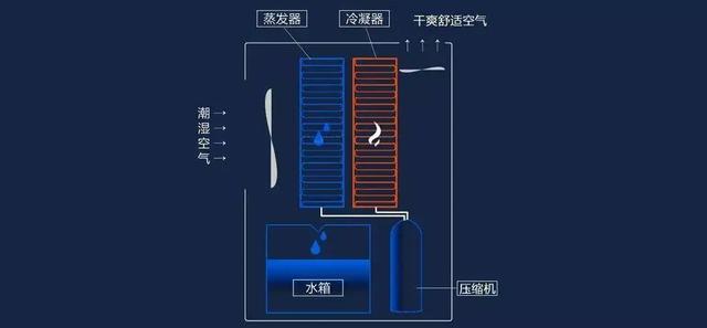 如何選購除濕機(jī)（除濕機(jī)選購小妙招）(1)