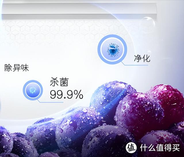 冰箱什么牌子的冰箱最好（冰箱保姆級(jí)攻略與機(jī)型推薦）(12)