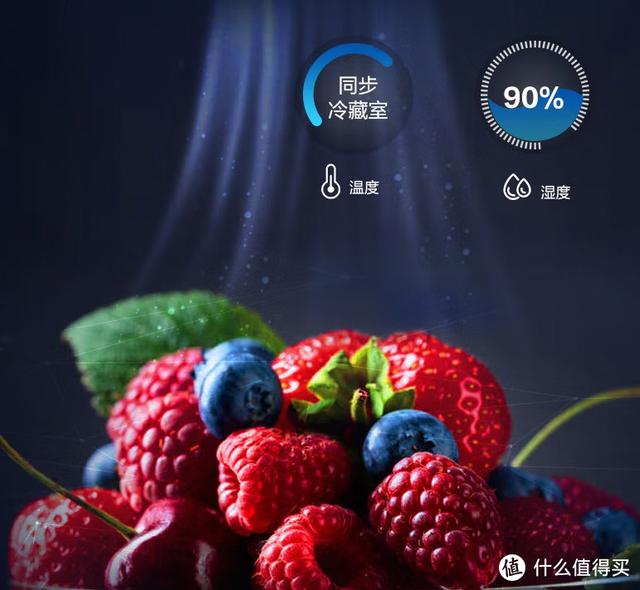 冰箱什么牌子的冰箱最好（冰箱保姆級(jí)攻略與機(jī)型推薦）(53)