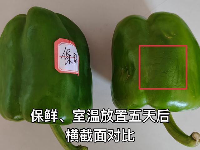 tcl冰箱質量怎么樣（tcl格物冰箱q10 深度評測）(46)